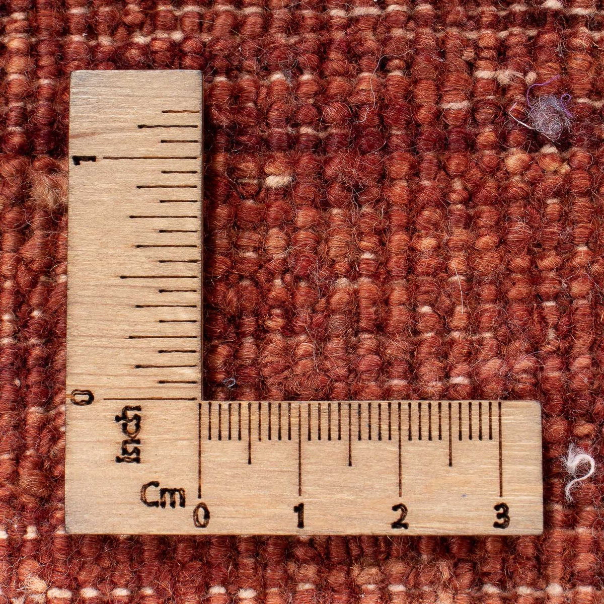 Ziegler tapijt - Modern vierkant  - 215 x 197 cm - blauw