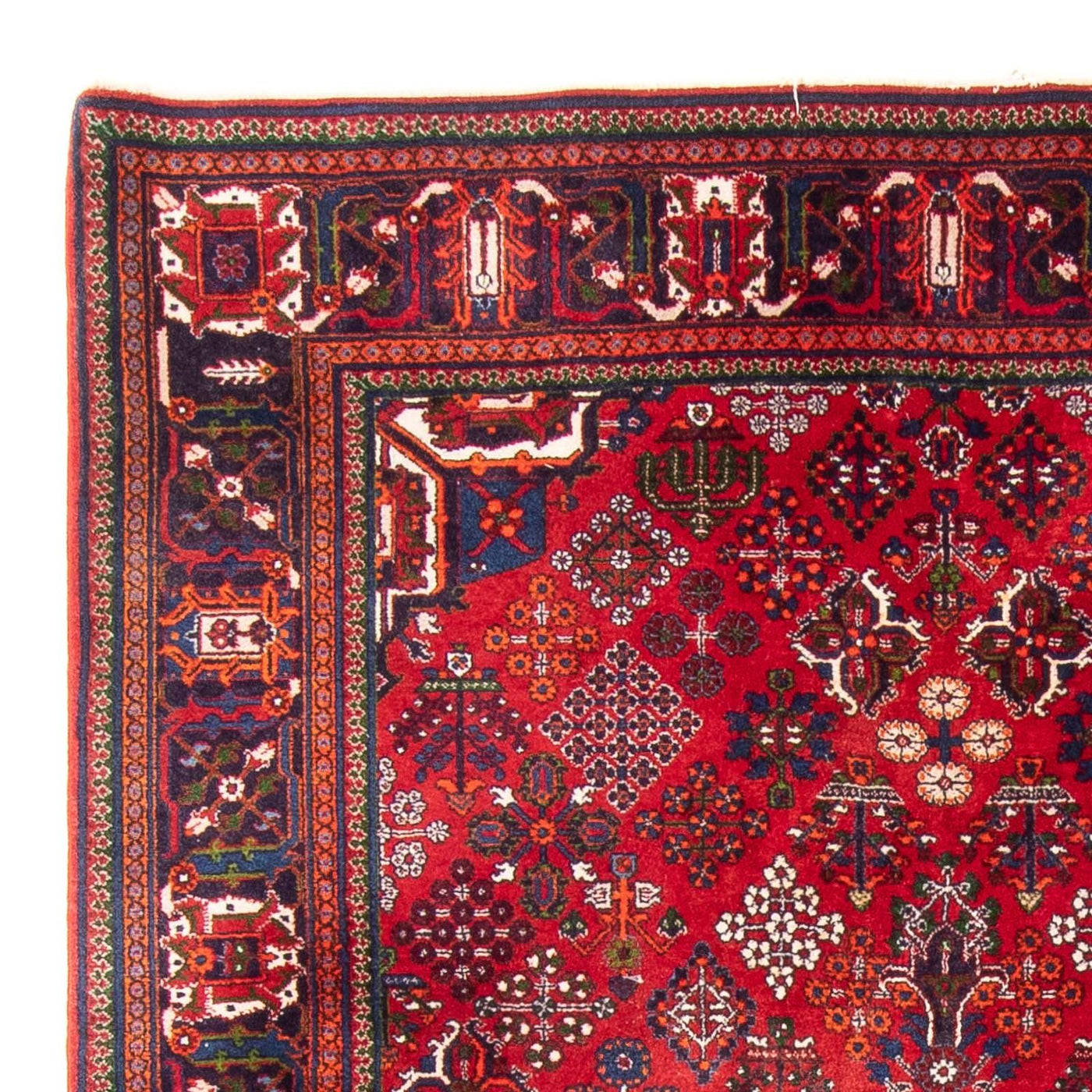 Shiraz Tapijt 280x168cm - Perzisch tapijt