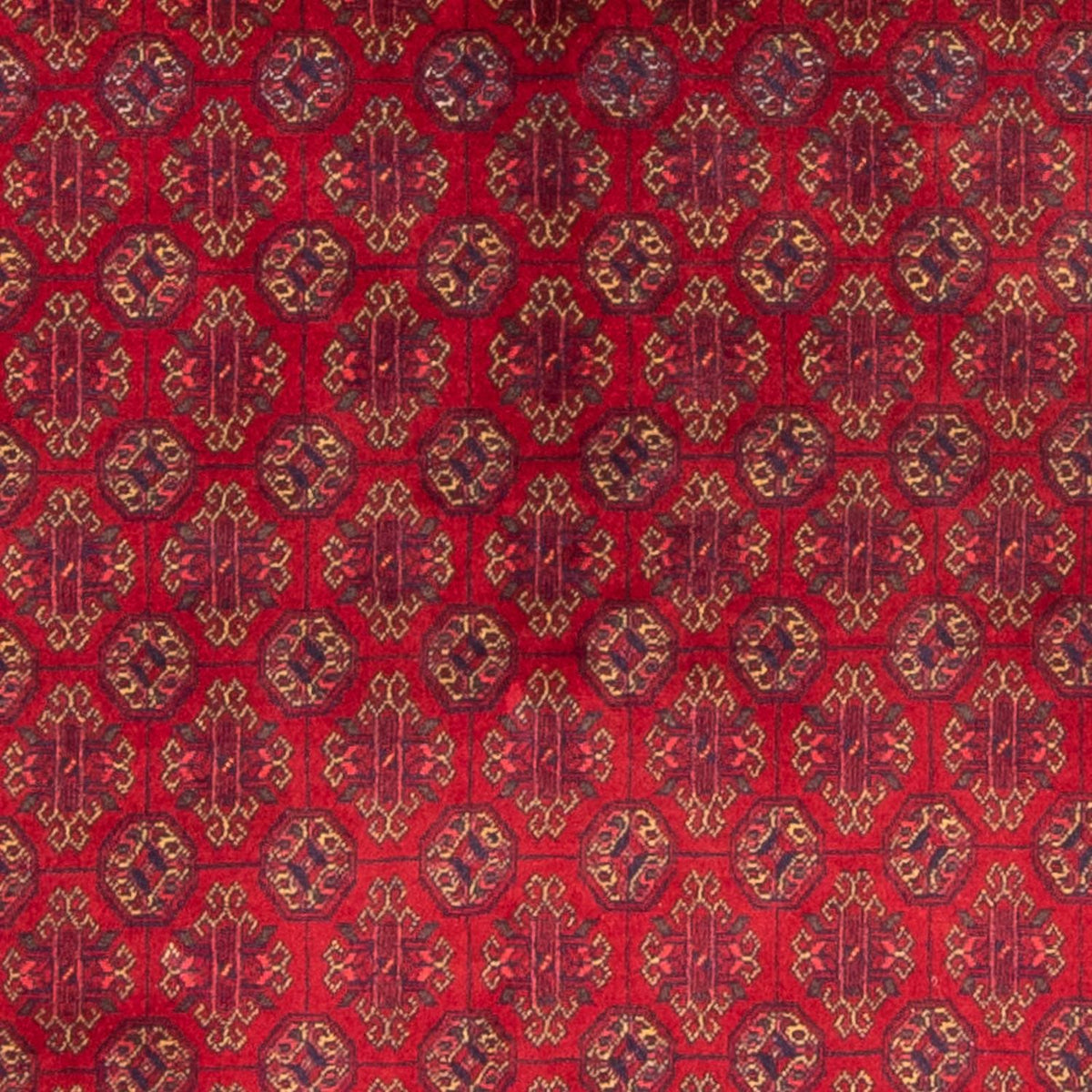 Afghaans tapijt - 193 x 148 cm - rood