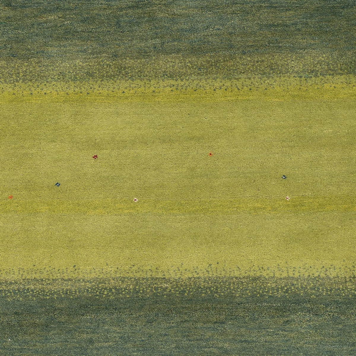 Gabbeh Tapijt - Loribaft Indus - 240 x 170 cm - groen