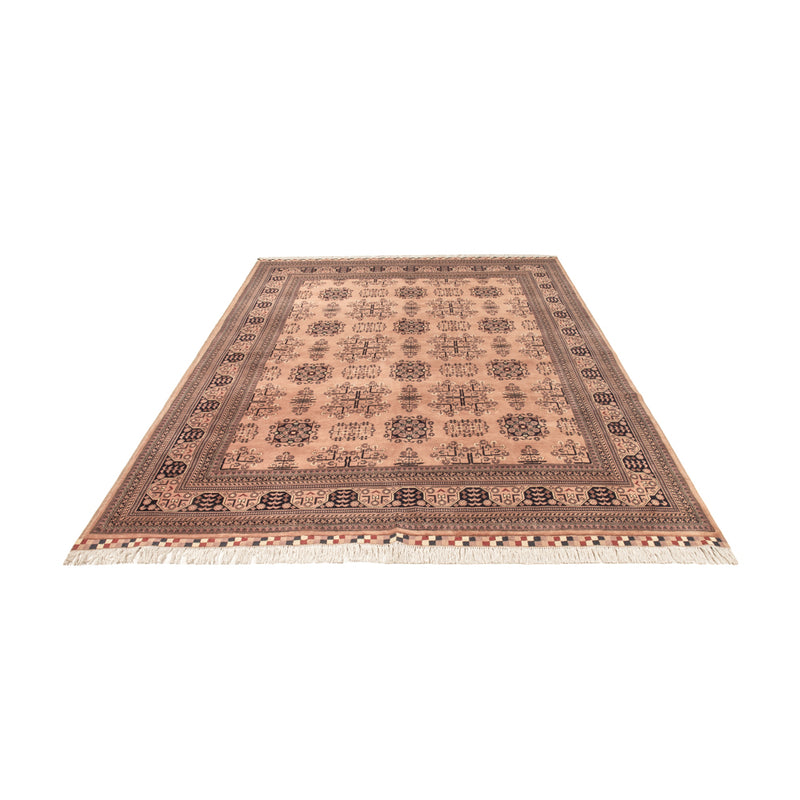 Afghaans tapijt - 296 x 196 cm - beige
