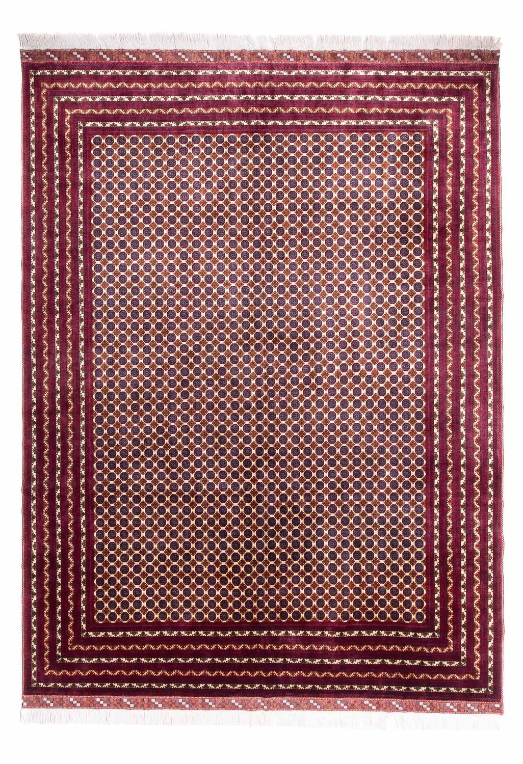 Afghaans tapijt - 341 x 260 cm - beige