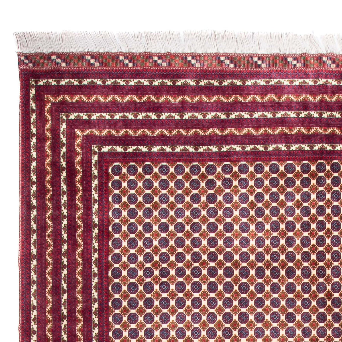 Afghaans tapijt - 341 x 260 cm - beige