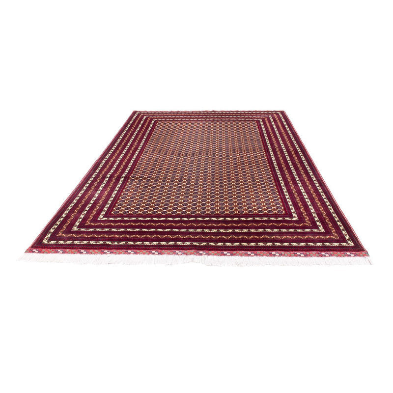 Afghaans tapijt - 297 x 198 cm - beige