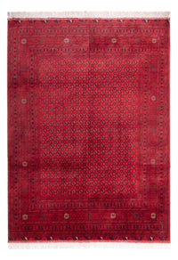 Afghaans tapijt - 343 x 248 cm - rood