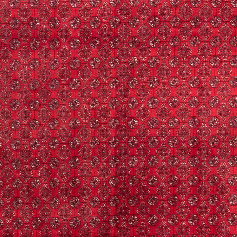 Afghaans tapijt - 343 x 248 cm - rood