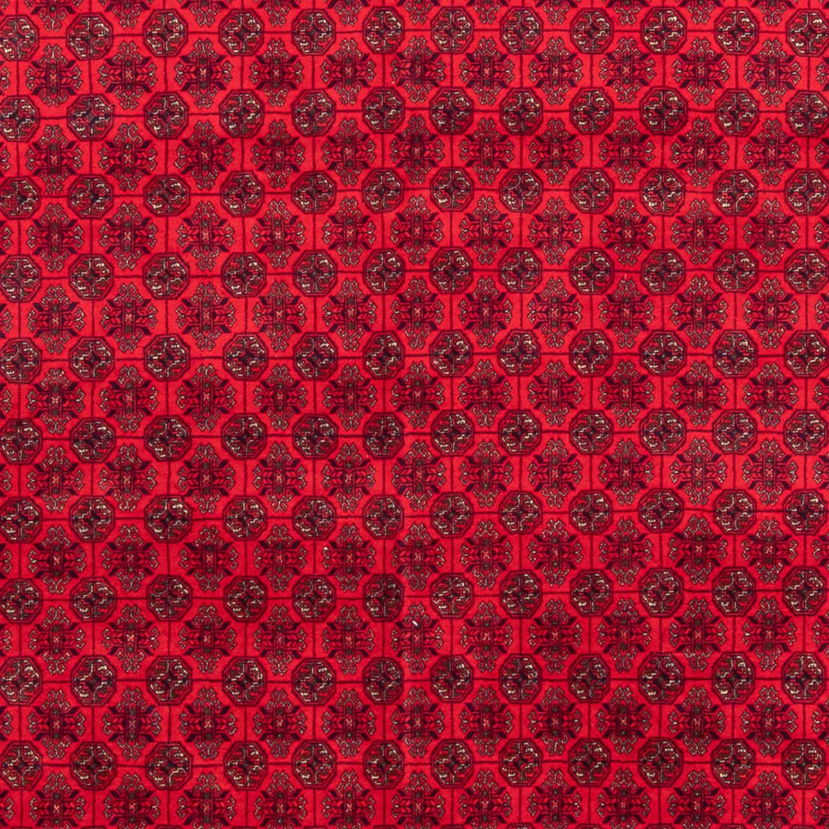 Afghaans tapijt - 295 x 194 cm - rood