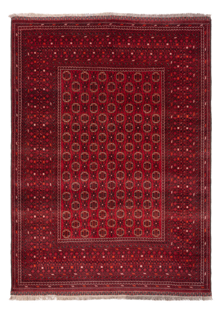 Afghaans tapijt - Bukhara - 274 x 198 cm - rood