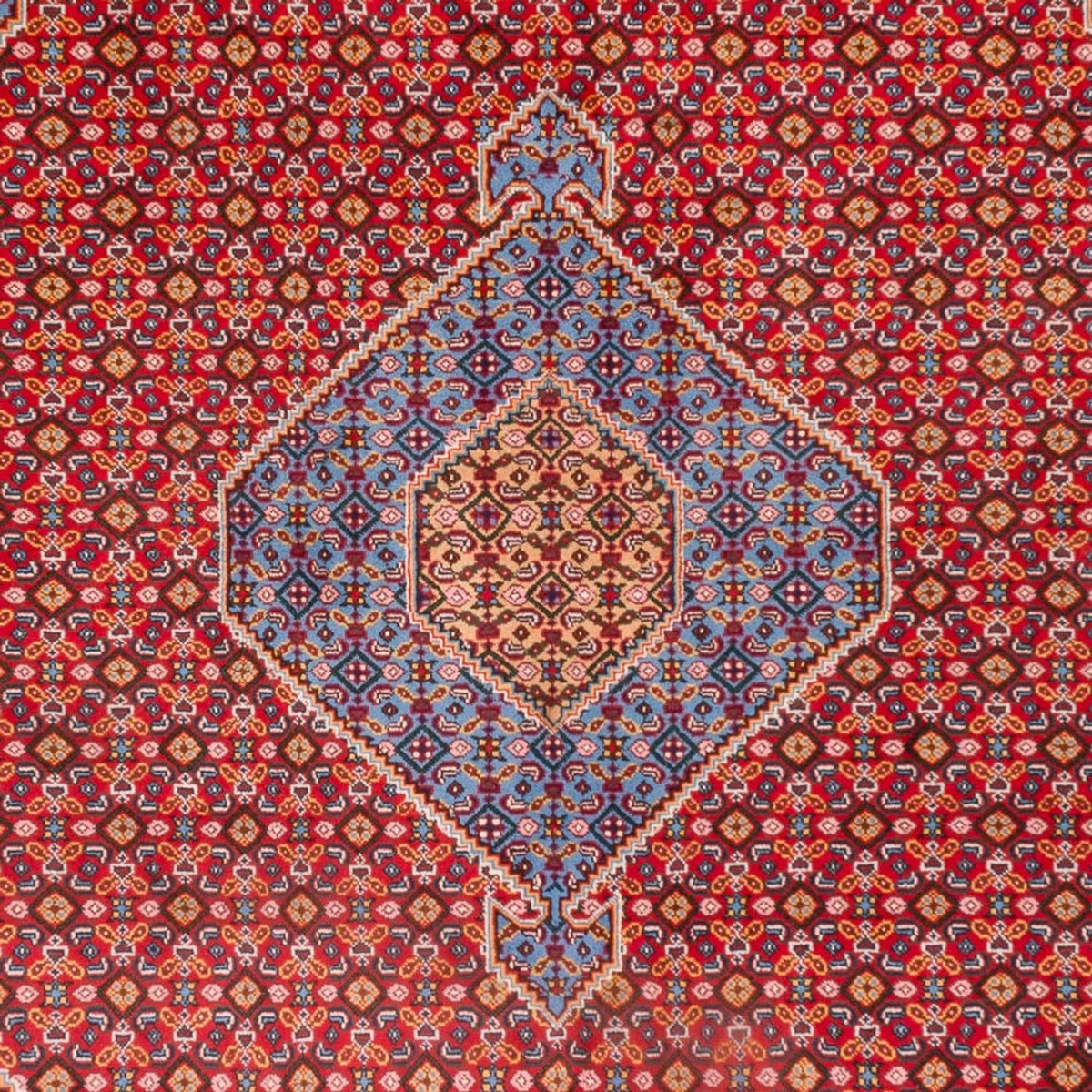 Perzisch Tapijt - Nomadisch - 300 x 205 cm - rood