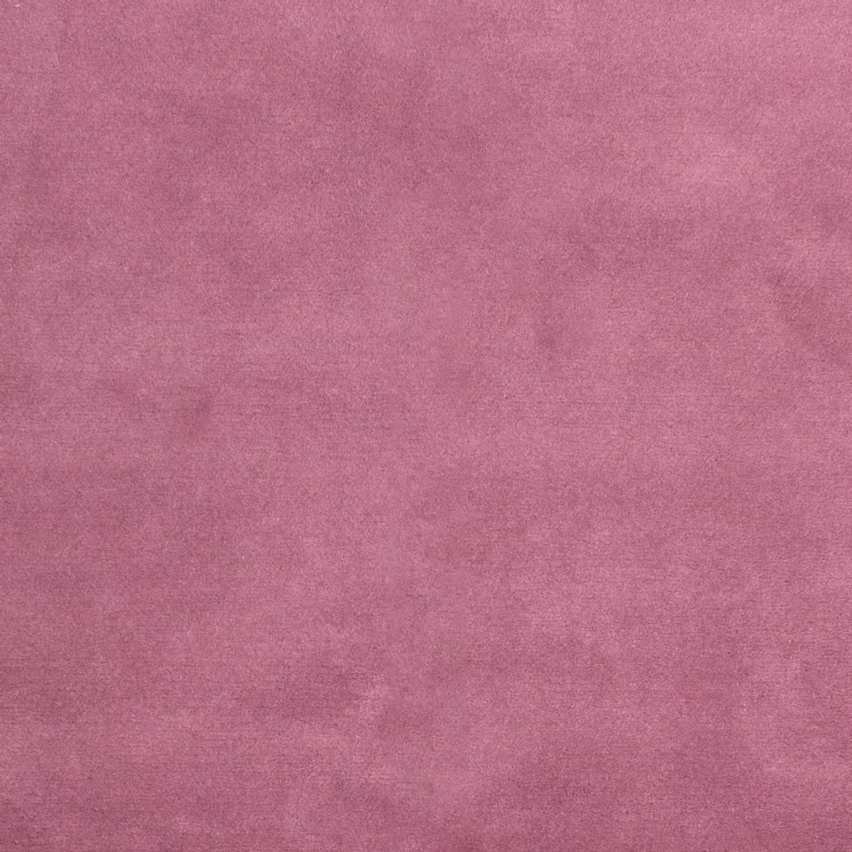Nepal tapijt - 180 x 120 cm - fuchsia