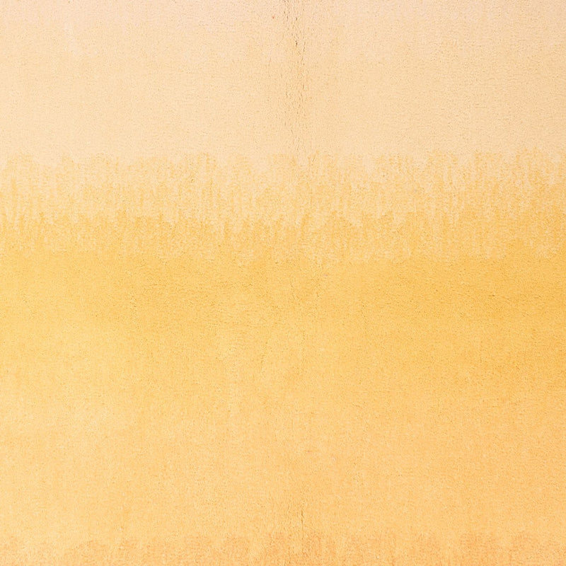 Wollen tapijt - 170 x 115 cm - veelkleurig