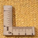 Kelim tapijt - Trendy - 200 x 140 cm - veelkleurig