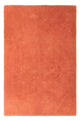 Wollen tapijt 273x182cm - Wollen tapijt