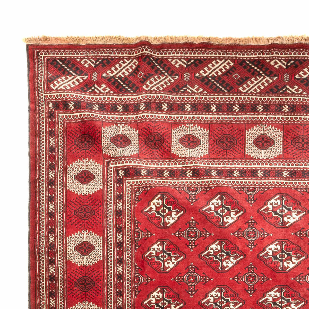 Turkaman tapijt - 391 x 270 cm - rood