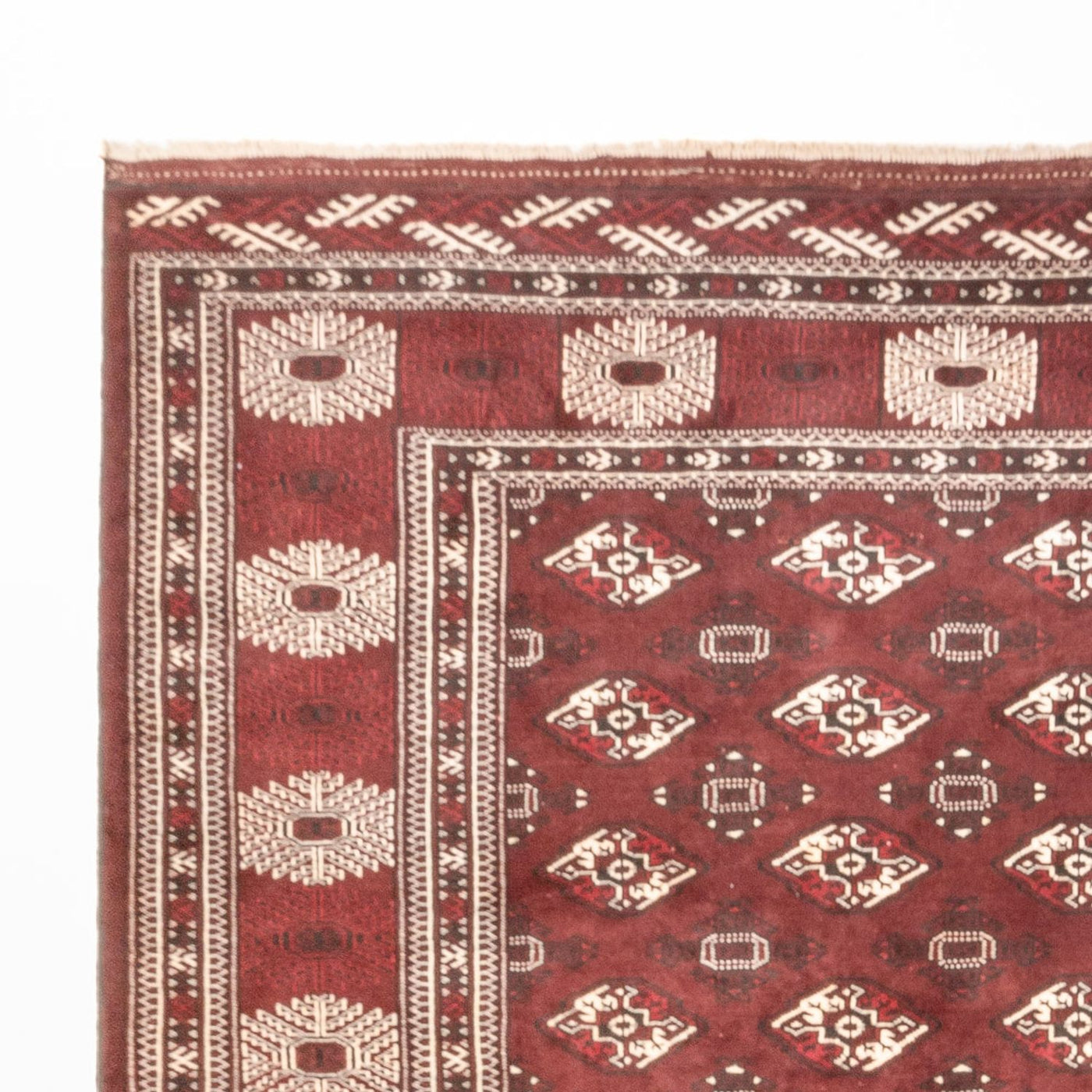 Turkaman tapijt 380x260cm - Perzisch tapijt