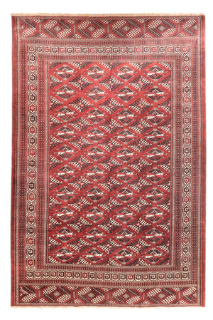 Turkaman tapijt - 390 x 280 cm - rood