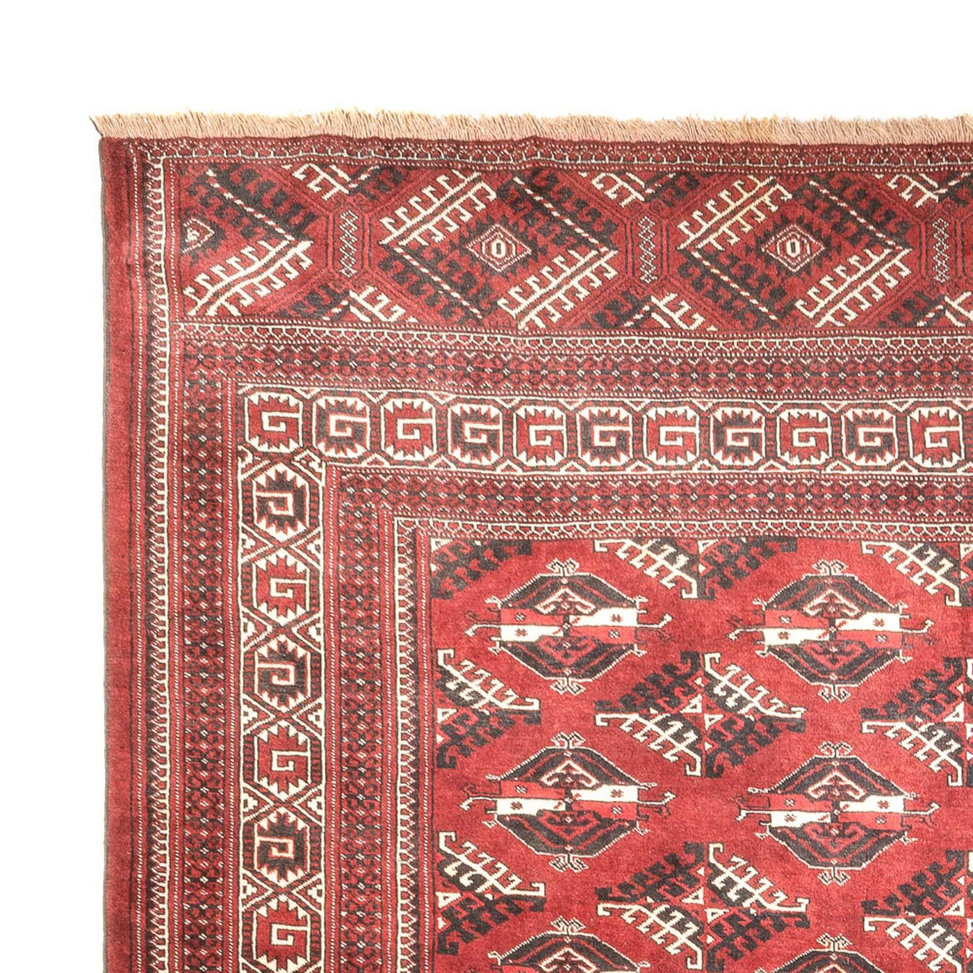 Turkaman tapijt 390x280cm - Perzisch tapijt