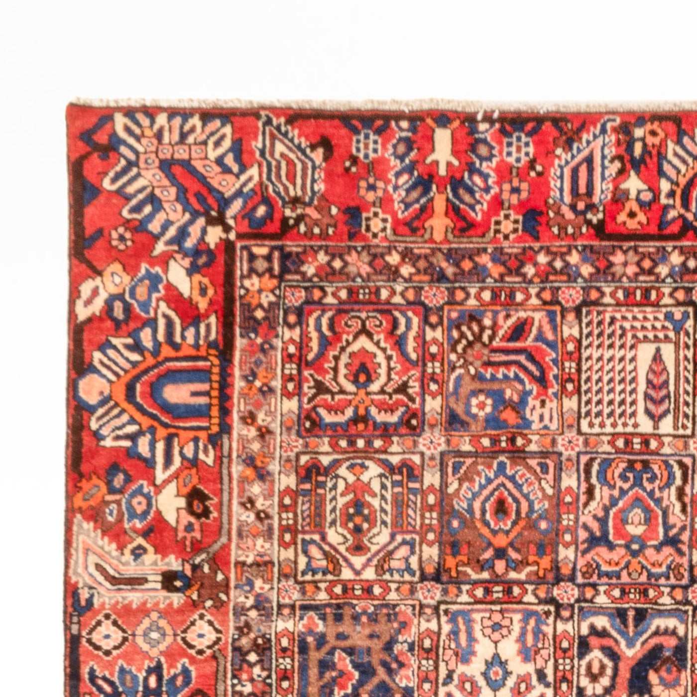 Bakhtiari Tapijt 340x250cm - Perzisch tapijt