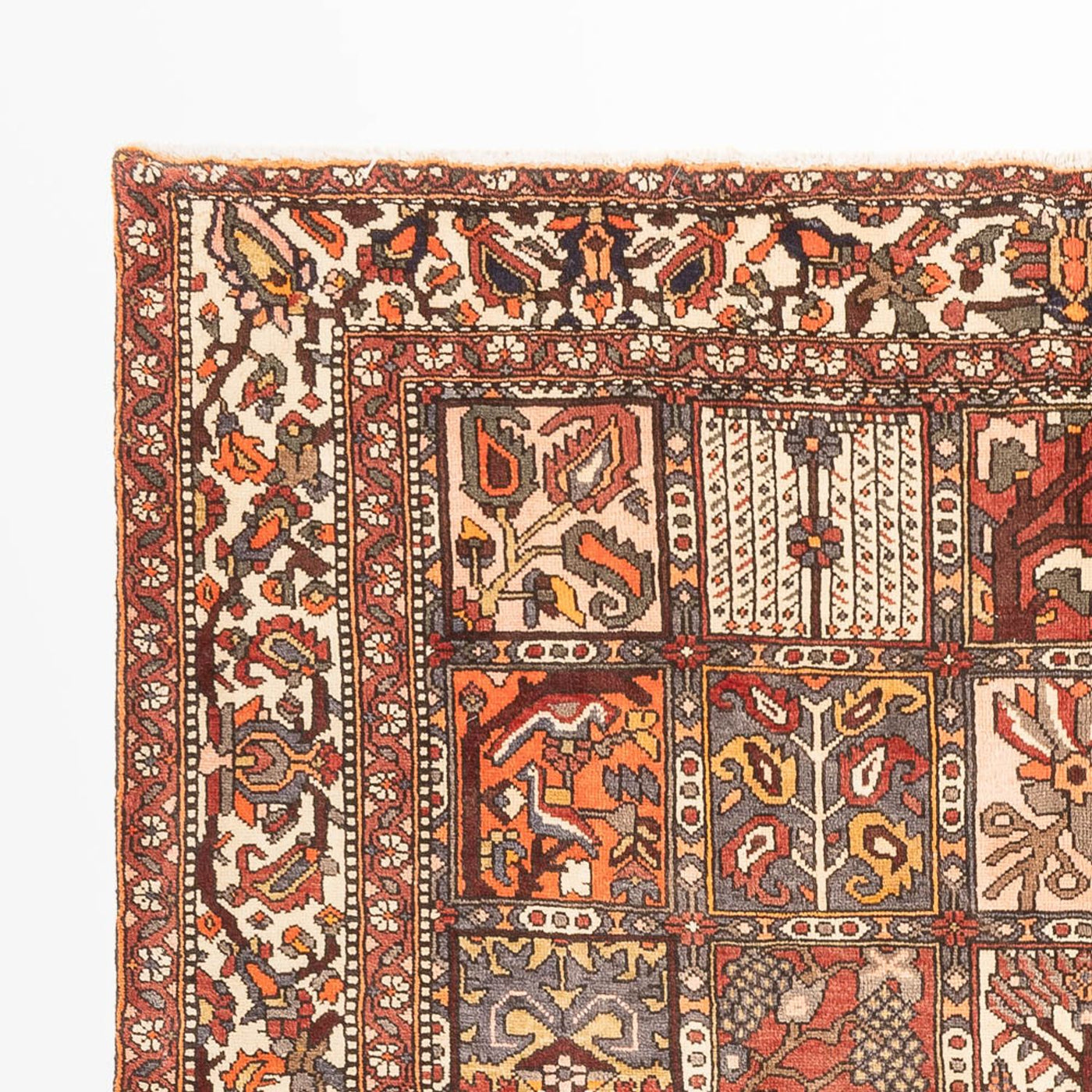 Bakhtiari Tapijt 302x210cm - Perzisch tapijt