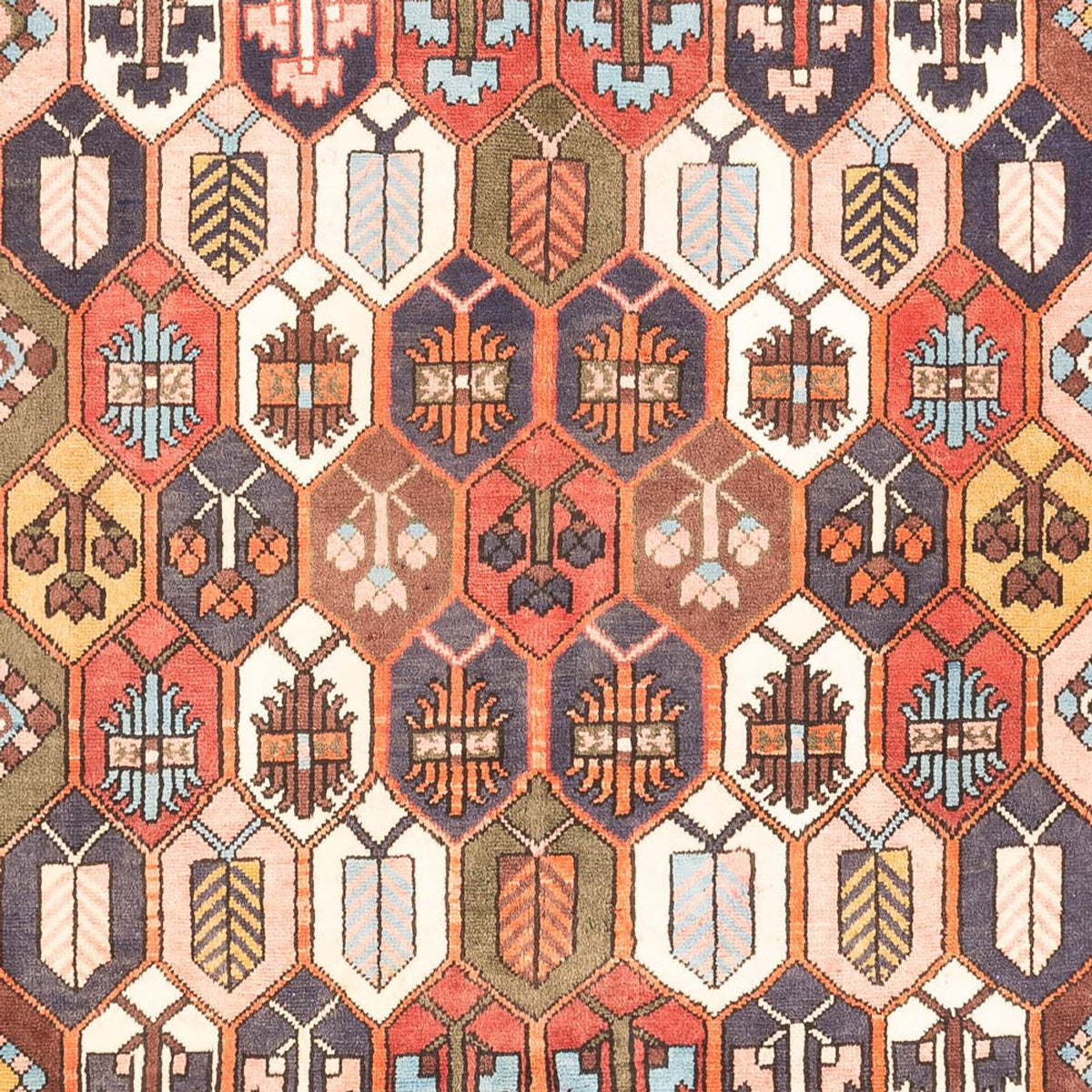 Perzisch Tapijt - Nomadisch - 305 x 215 cm - veelkleurig