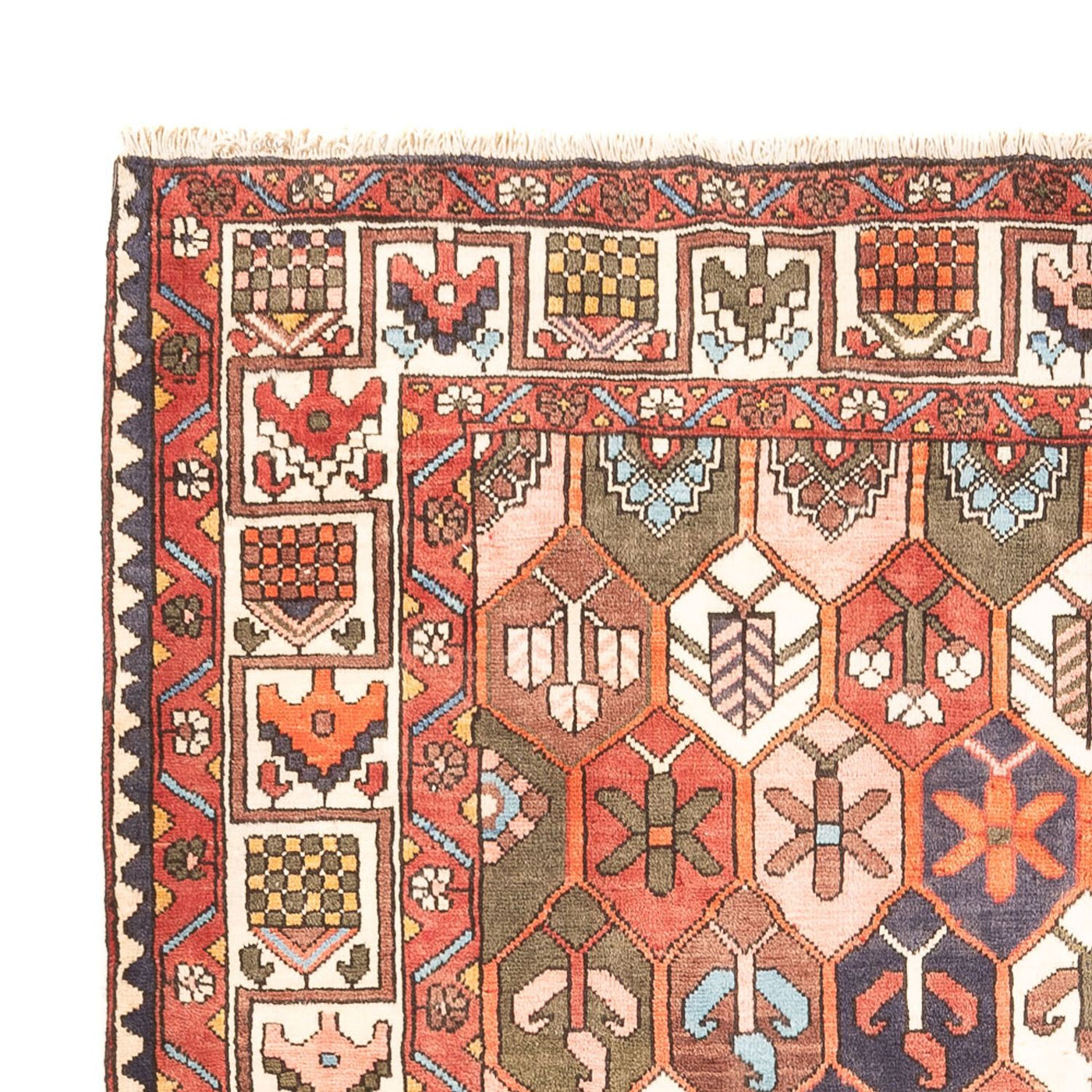 Bakhtiari Tapijt 305x215cm - Perzisch tapijt