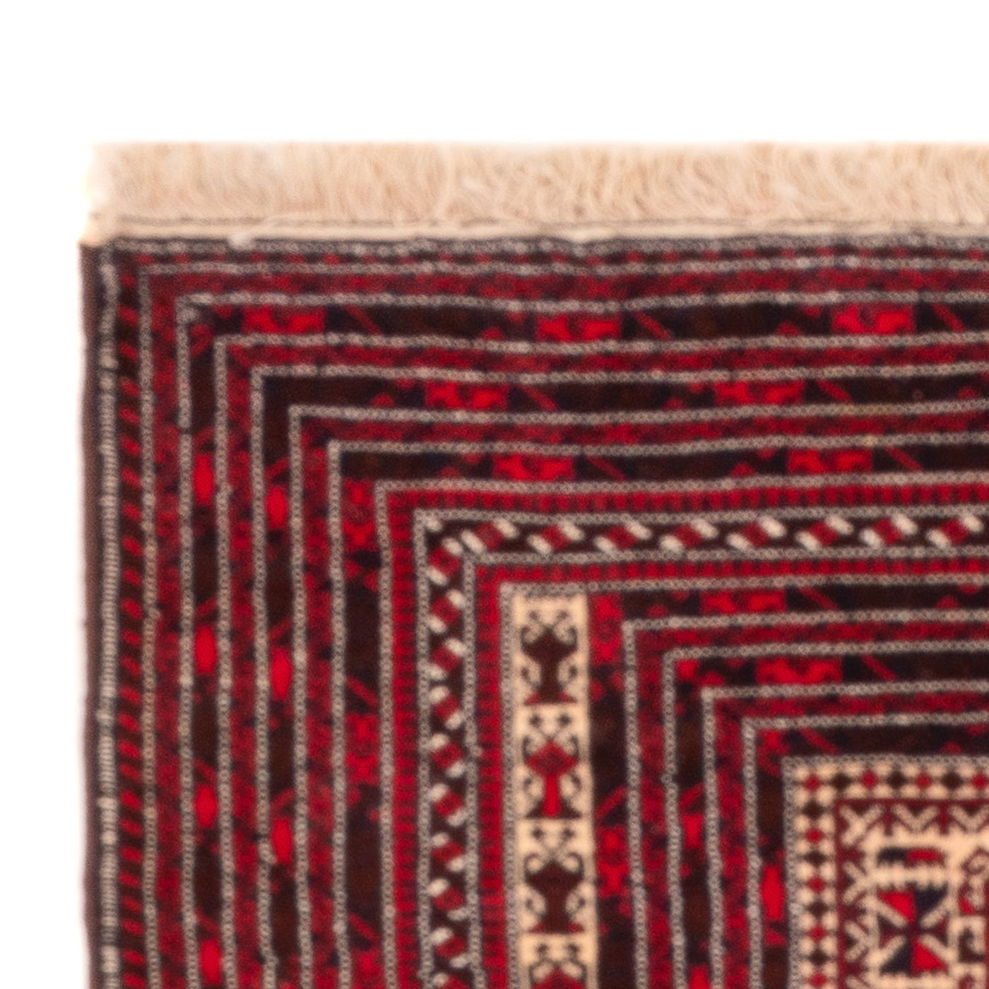 Baluch tapijt 250x250cm - Oosters Tapijt