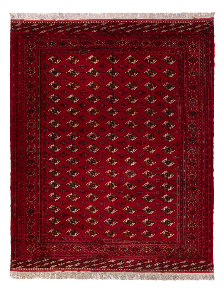 Afghaans tapijt - Bukhara - 382 x 300 cm - rood