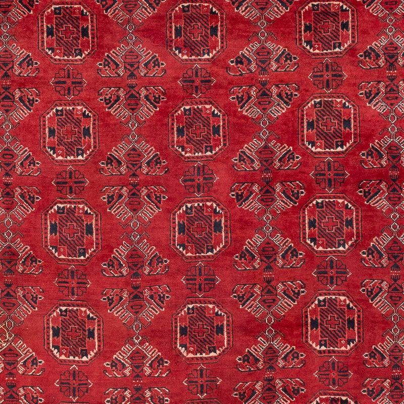 Afghaans tapijt - 275 x 203 cm - rood