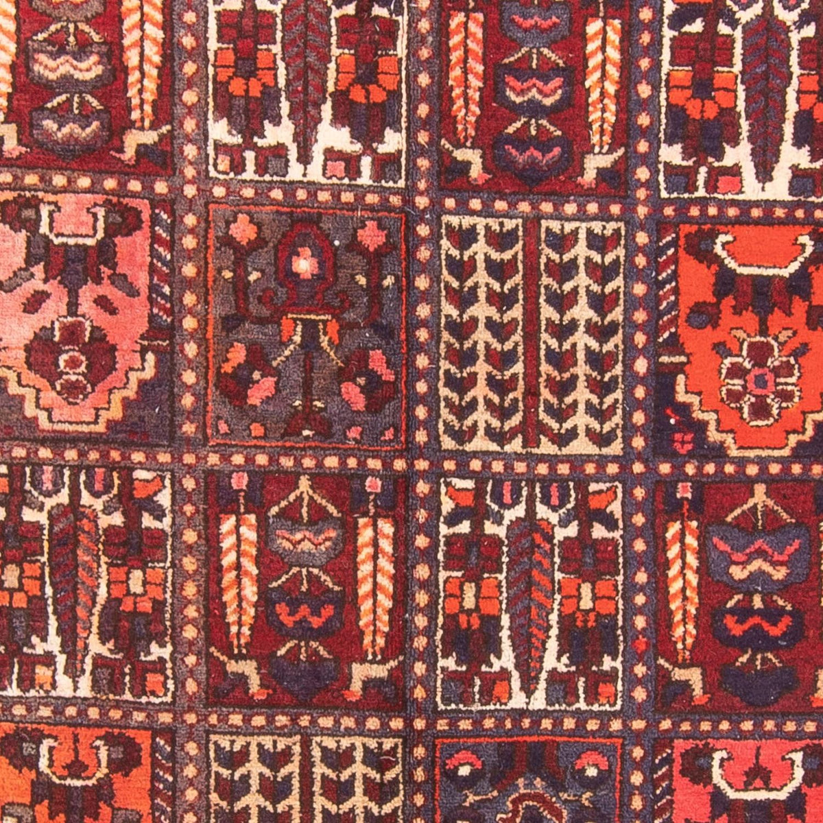 Loper Perzisch Tapijt - Nomadisch - 290 x 158 cm - veelkleurig