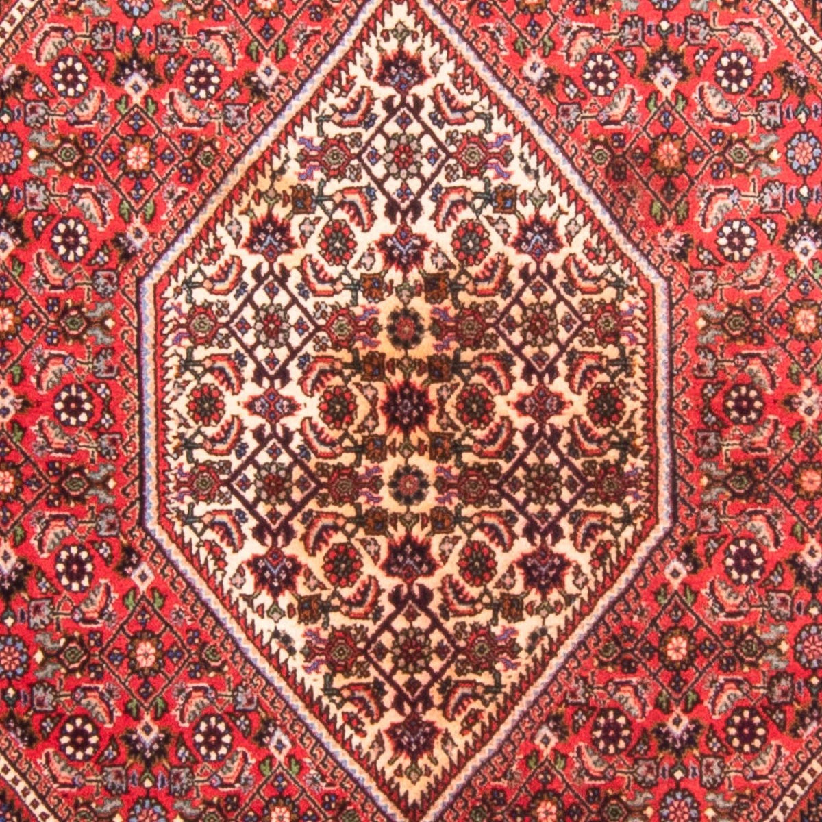 Perzisch tapijt - Bijar - 170 x 114 cm - rood