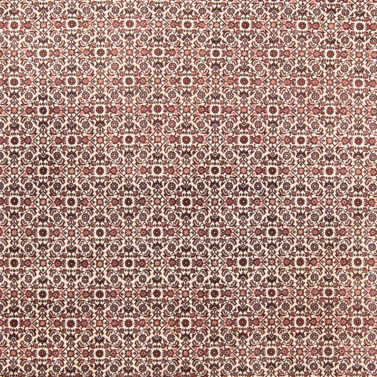 Perzisch tapijt - Bijar - 340 x 250 cm - beige