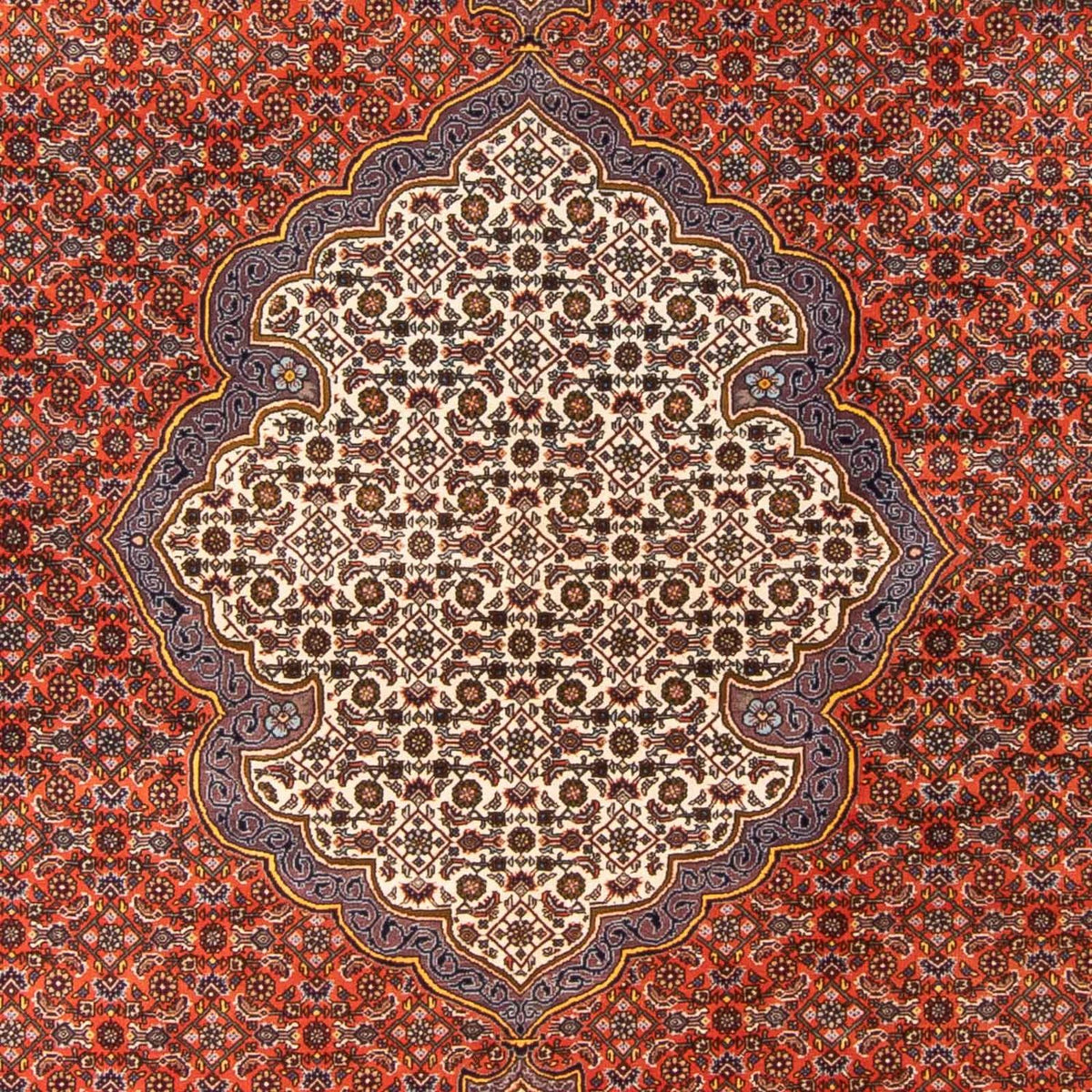 Perzisch tapijt - Bijar - 312 x 205 cm - oranje