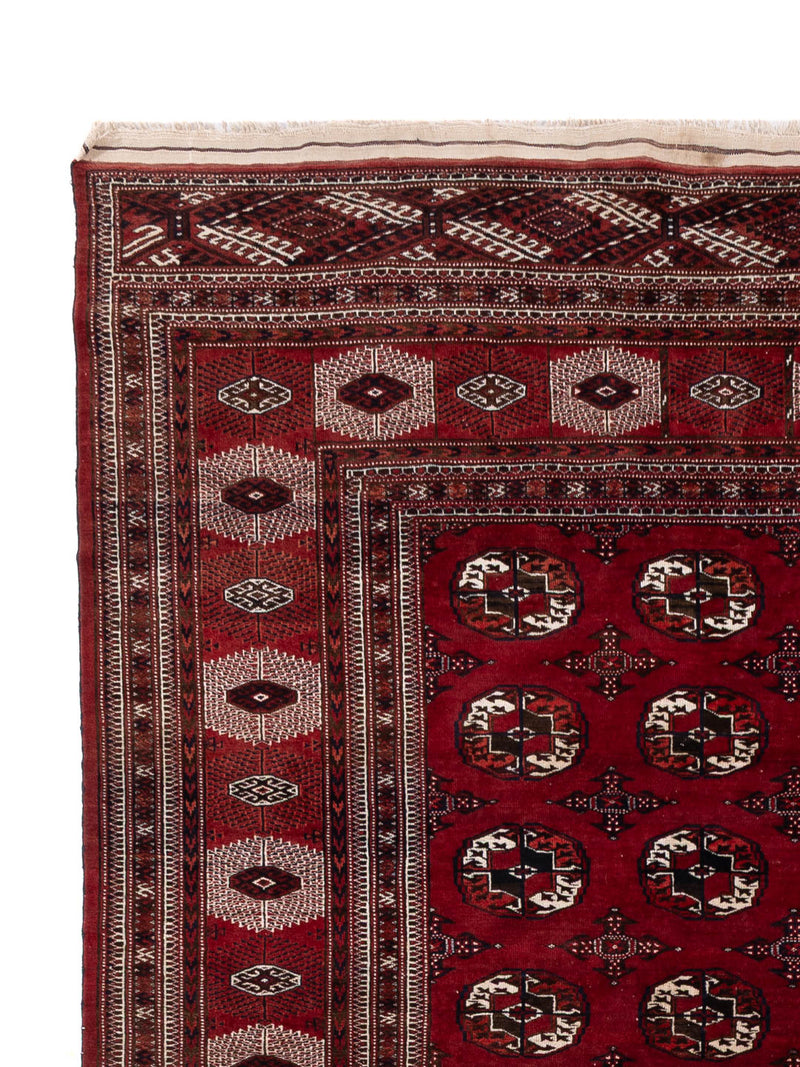Afghan Teppich - Buchara - 350 x 250 cm - dunkelrot