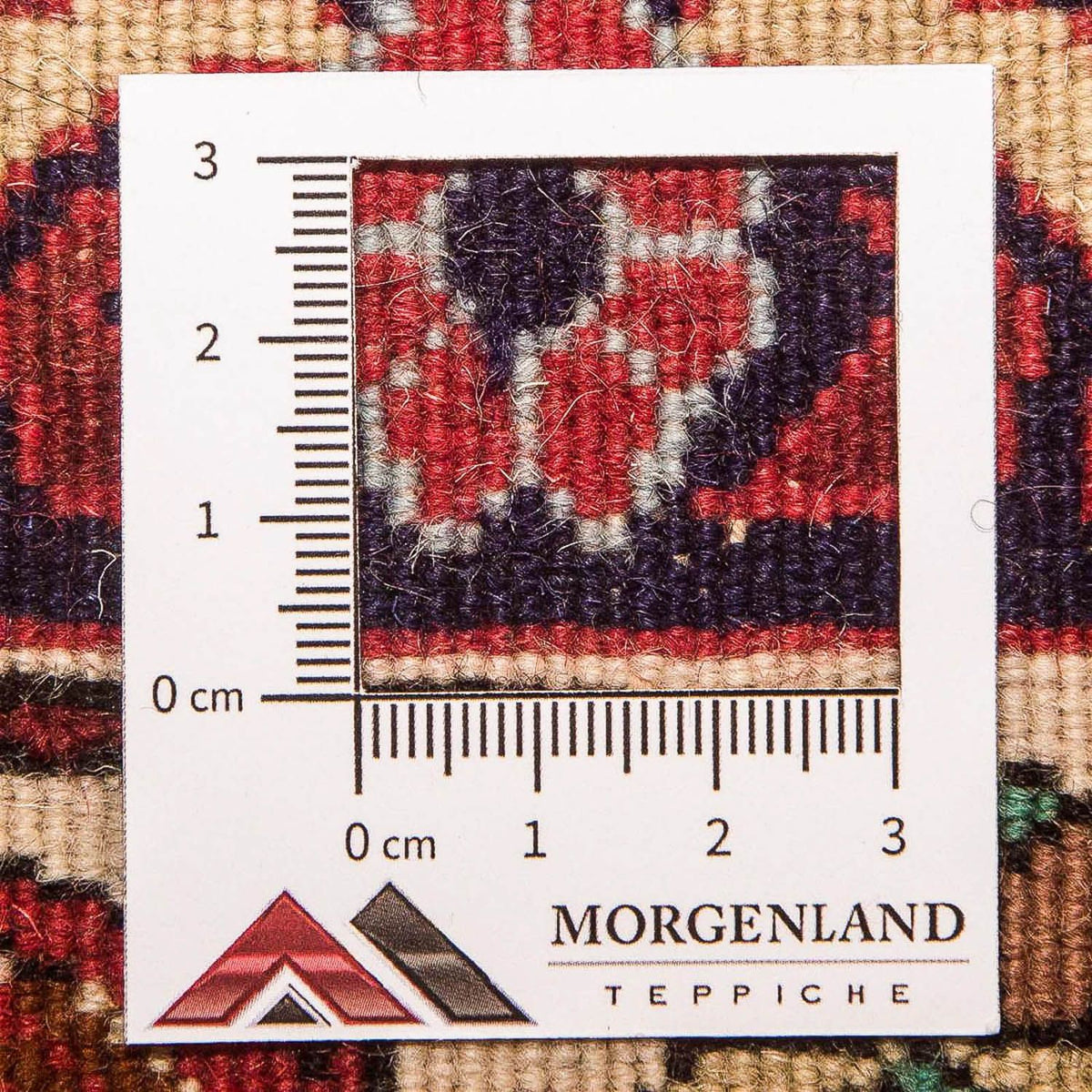 Perzisch tapijt - Bijar - 348 x 203 cm - lichtbruin