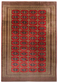Afghaans tapijt - Bukhara - 292 x 188 cm - rood