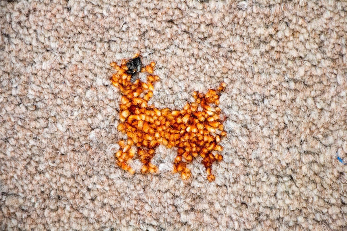 Gabbeh tapijt - Indus - 200 x 140 cm - bruin