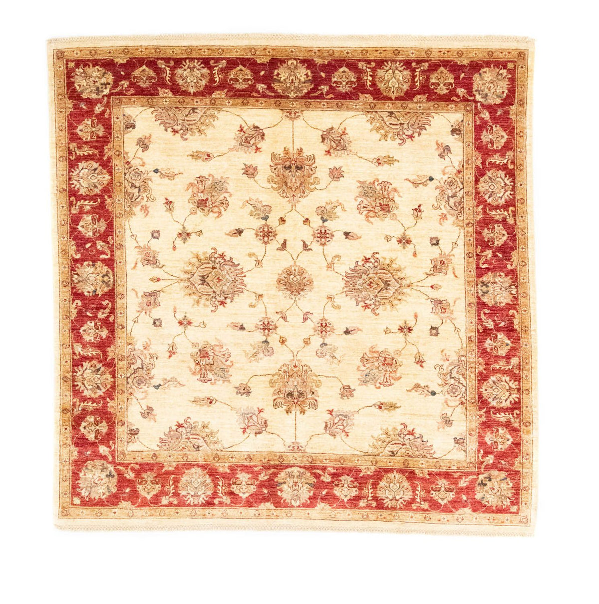 Ziegler tapijt vierkant  - 206 x 204 cm - beige