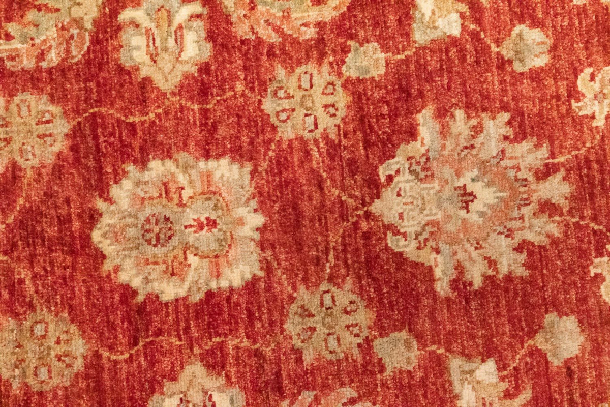 Loper Ziegler tapijt - 297 x 83 cm - rood