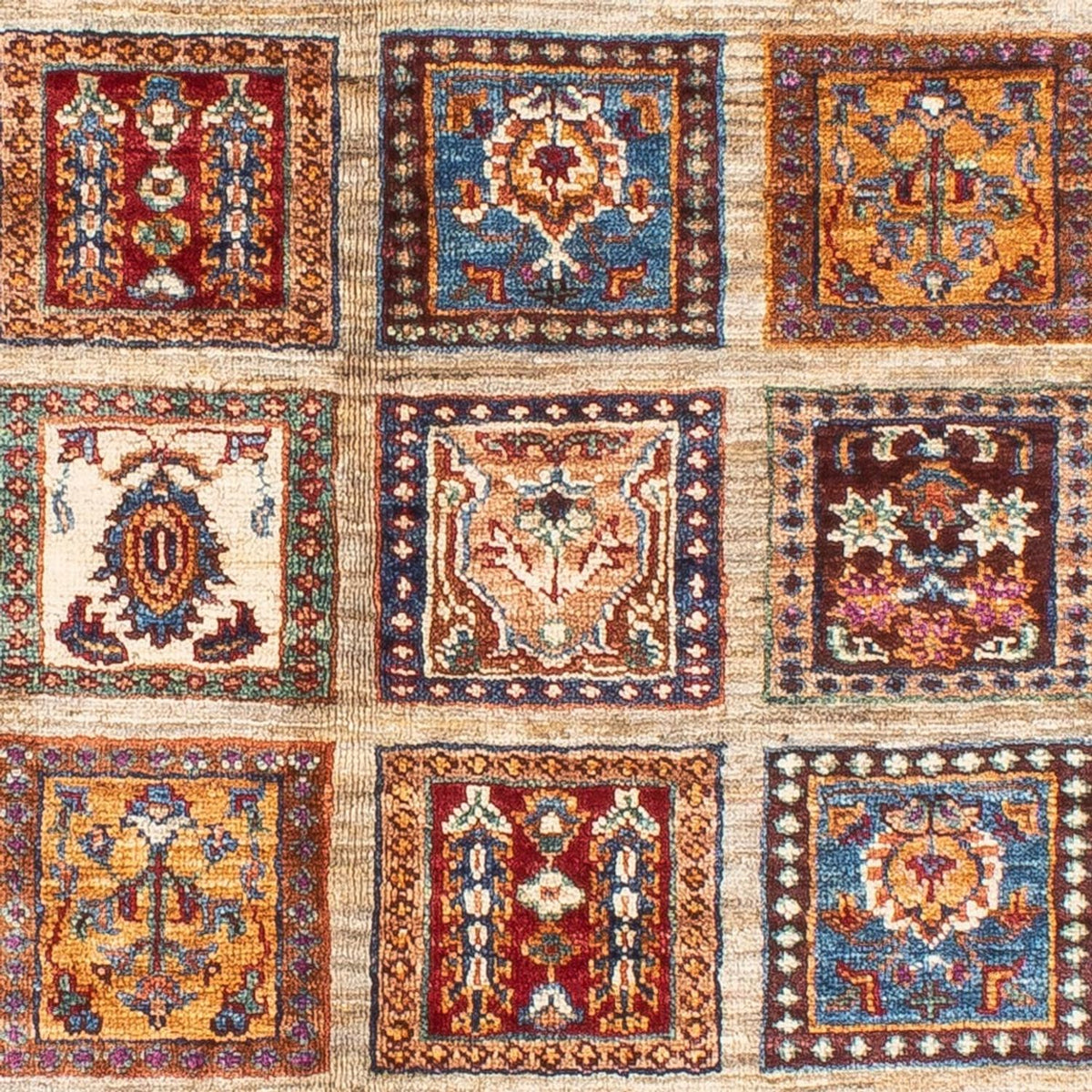 Ziegler Tapijt - Ariana - 178 x 123 cm - veelkleurig