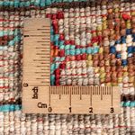 Ziegler Tapijt - Ariana - 187 x 121 cm - veelkleurig