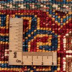 Ziegler Tapijt - Ariana - 60 x 40 cm - veelkleurig