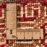 Ziegler Tapijt - Ariana - 60 x 40 cm - veelkleurig