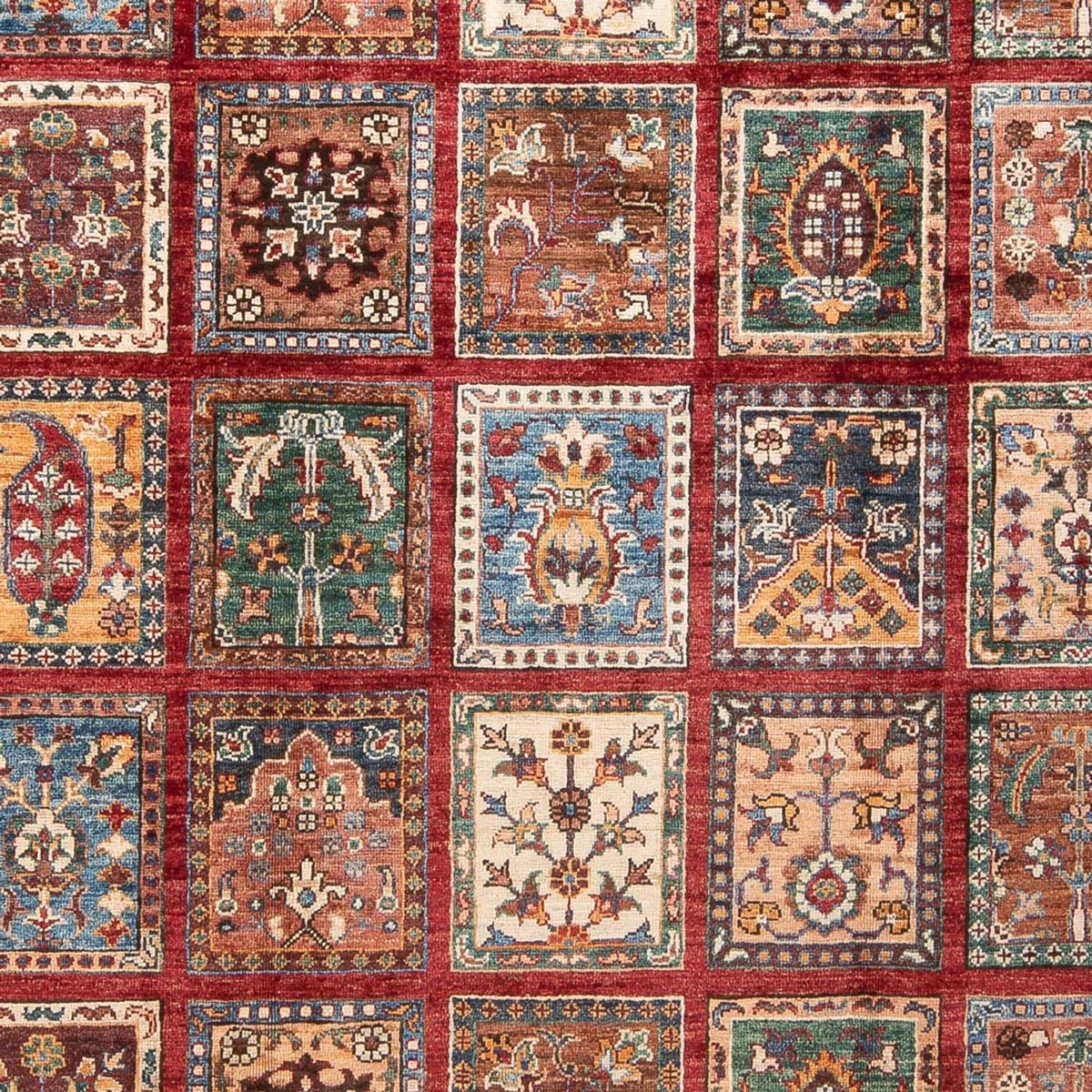 Ziegler Tapijt - Bakhtiari - 250 x 175 cm - veelkleurig