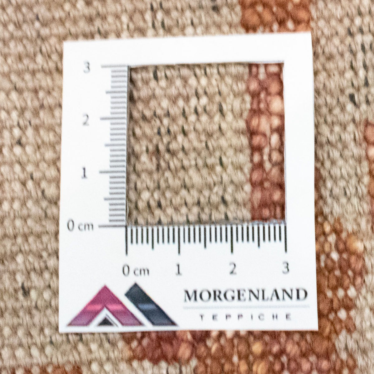 Designer tapijt - 244 x 170 cm - bruin