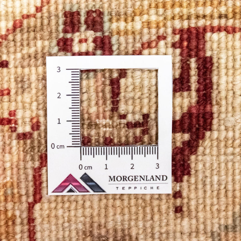 Ziegler tapijt - 247 x 166 cm - rood