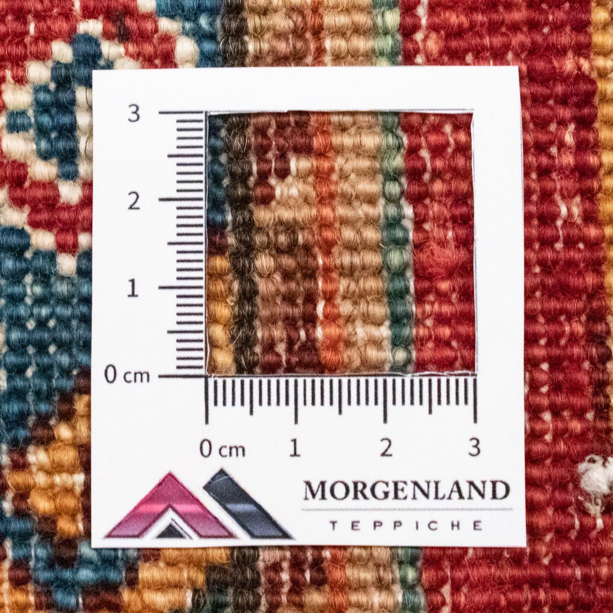 Ziegler tapijt - 243 x 170 cm - veelkleurig