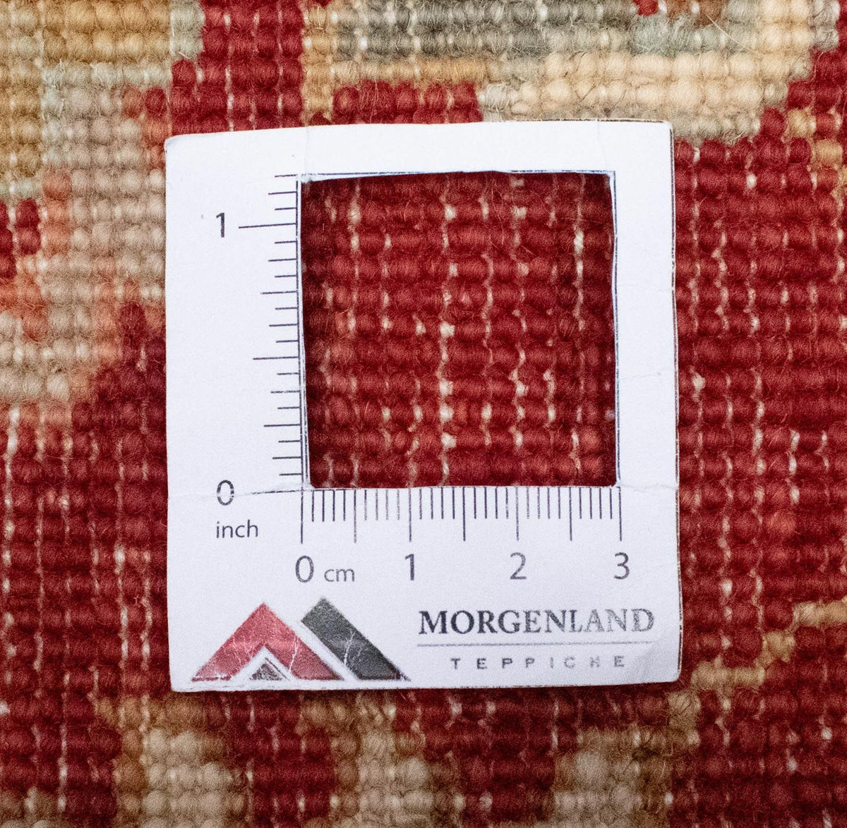 Ziegler tapijt - 391 x 302 cm - beige