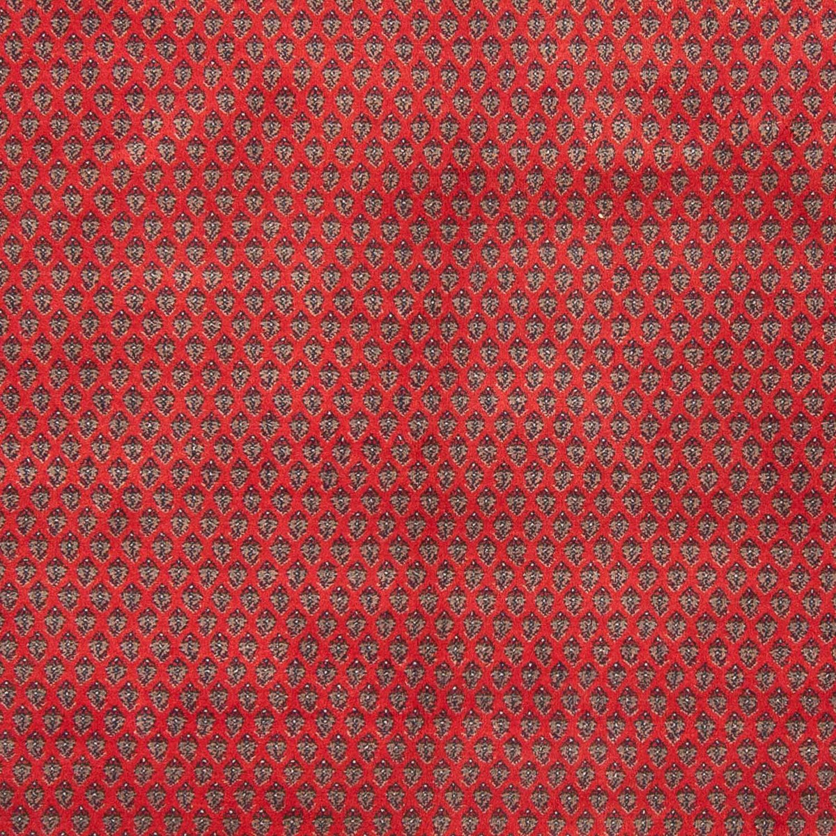 Oosters tapijt - Mir - Indus - 239 x 173 cm - rood