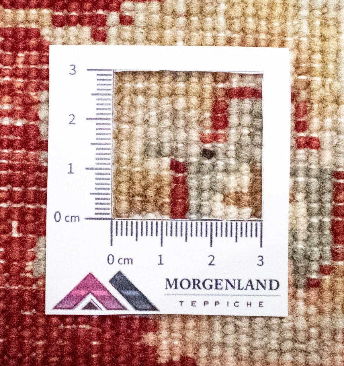 Ziegler tapijt - 122 x 77 cm - beige