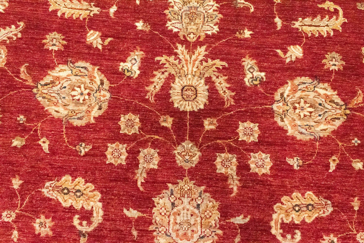 Ziegler tapijt - 296 x 210 cm - rood